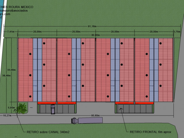 6planta