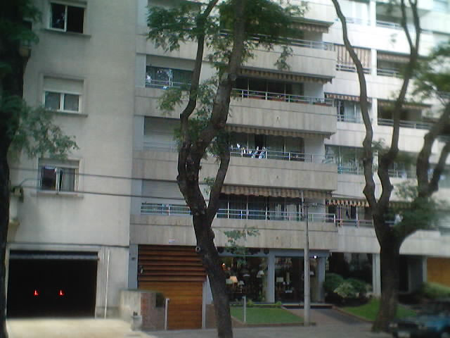 riazor3